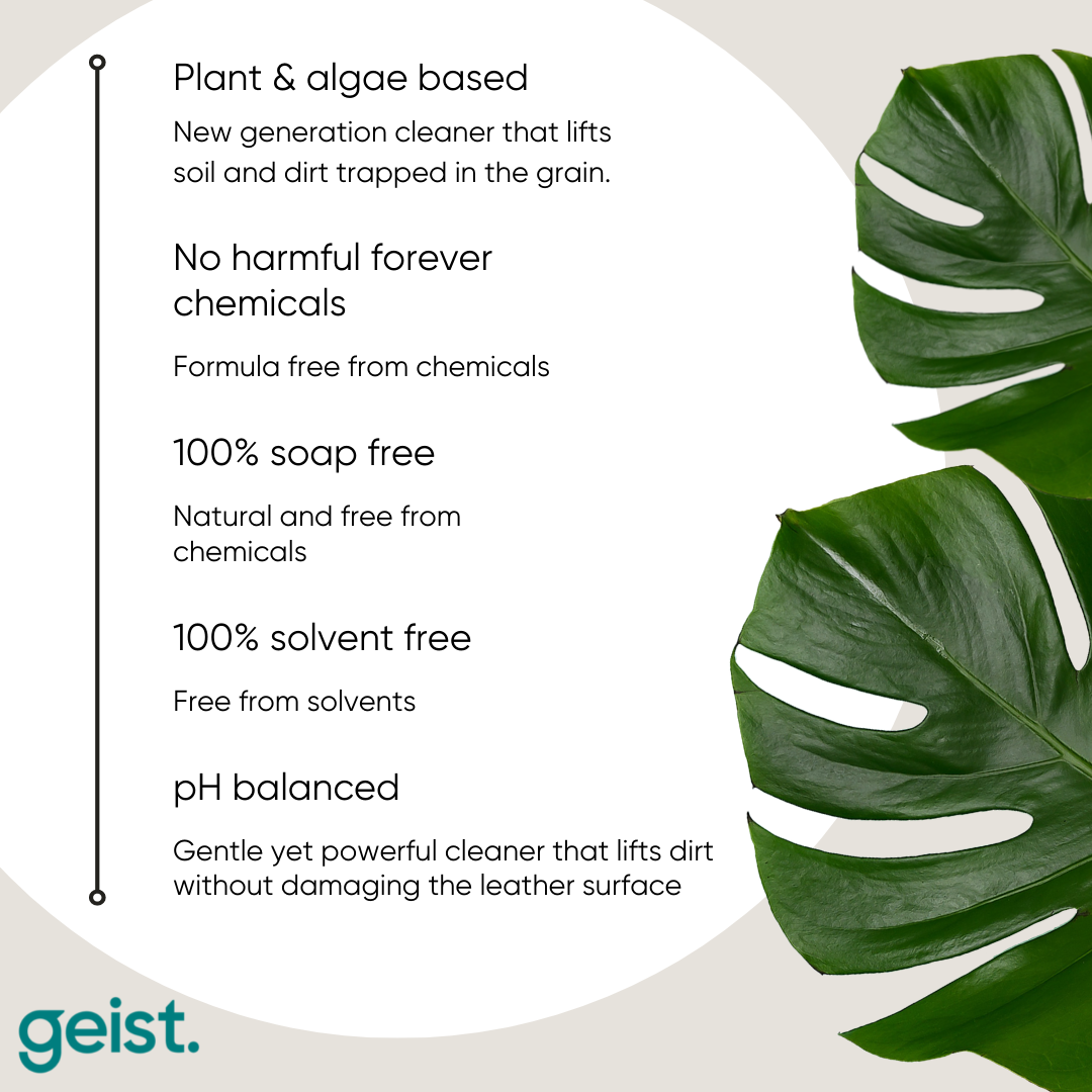 Geist 3 Minus Care Kit for Leather & Vinyl