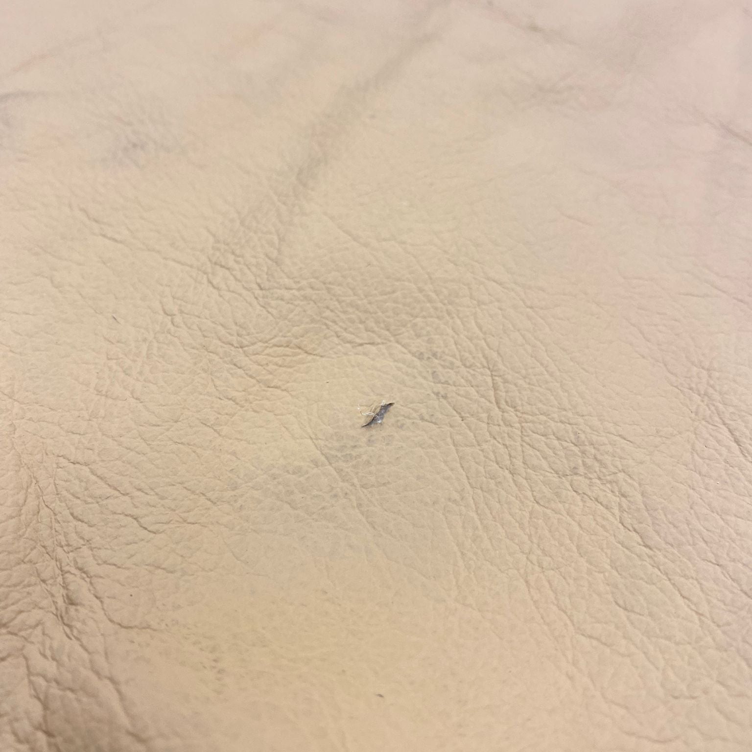 Black bottle with a white label featuring the brand 'geist' on a white background