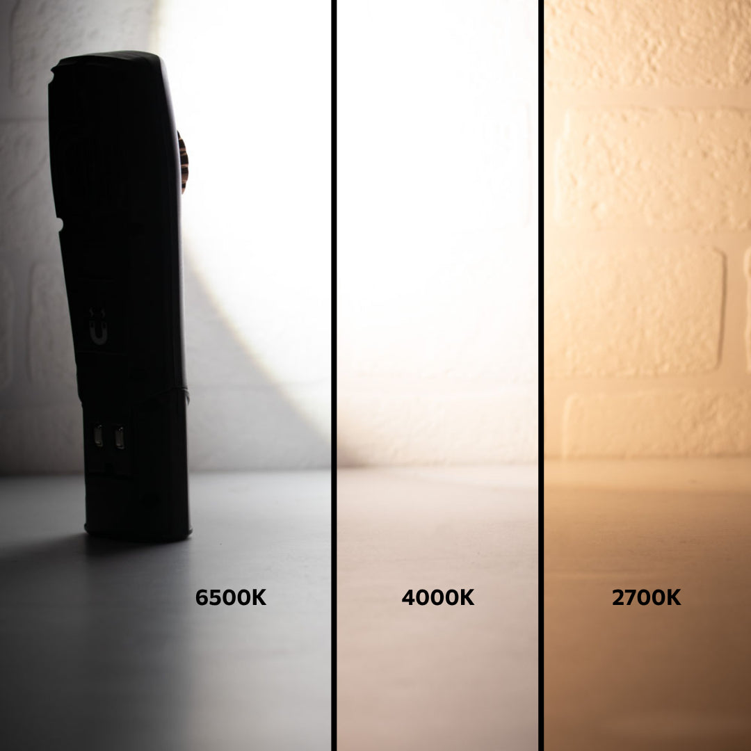 Workquip X-MATCH LED Paint Correction Light