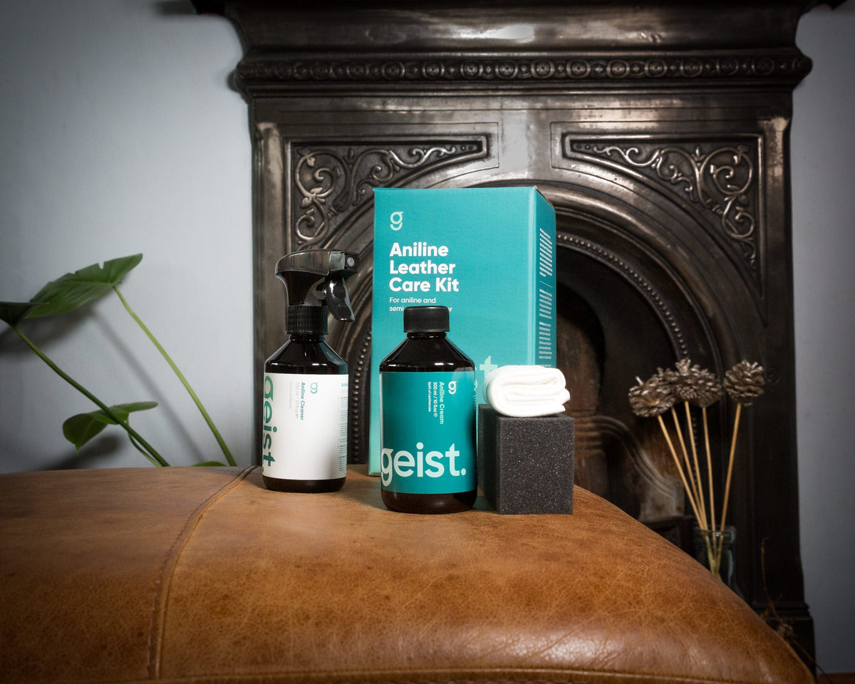 Geist Aniline Leather Care Kit