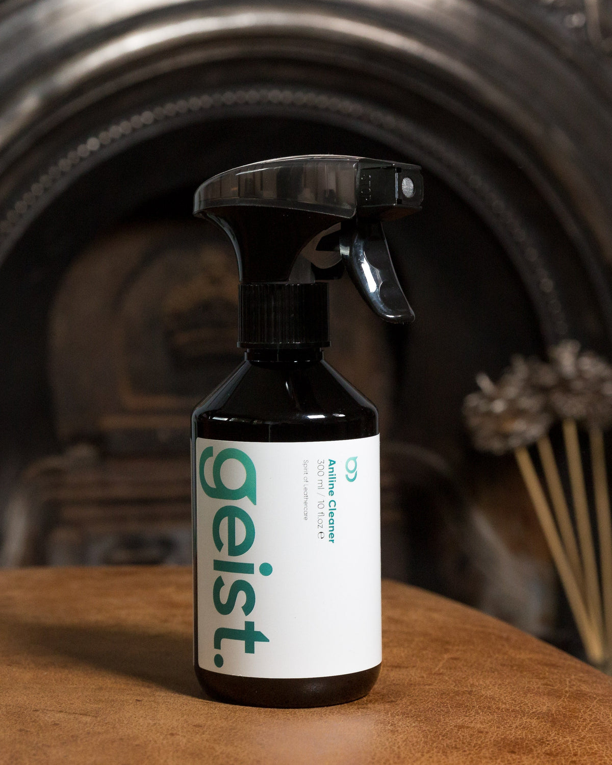 Geist Aniline Leather Care Kit