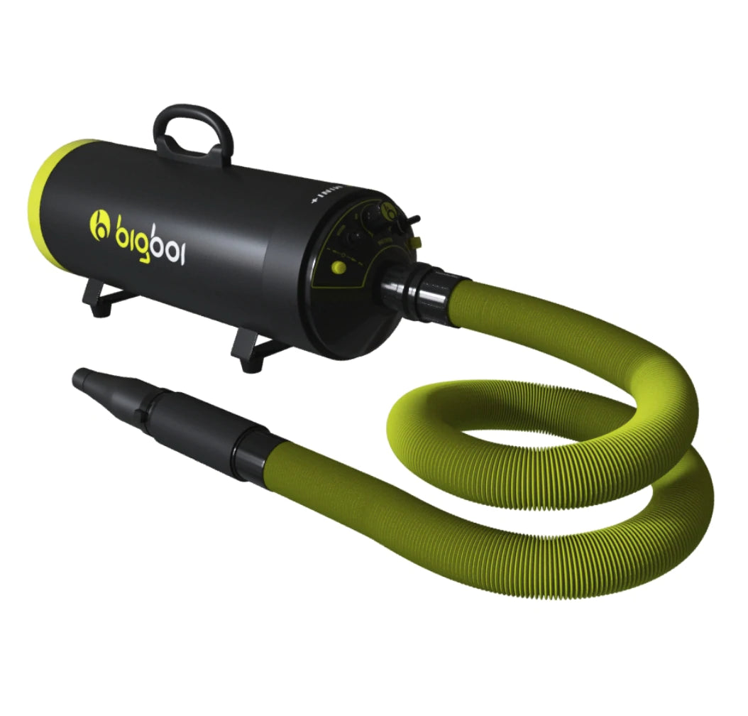BigBoi BLOWR MINI + (PLUS) Twin Motor Warm Air Dryer